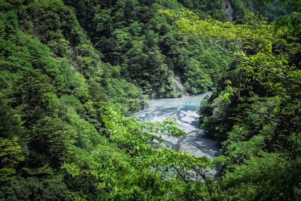 绿源环保公益短剧《地球守护者》 绿源环保公益短剧《地球守护者》 - 黄豆魔改漫剧客户案例展示